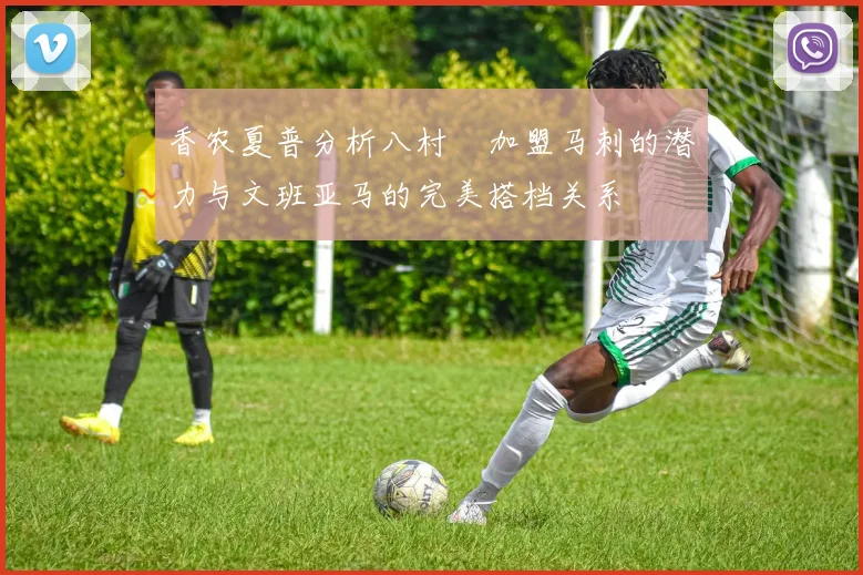 香农夏普分析八村塁加盟马刺的潜力与文班亚马的完美搭档关系