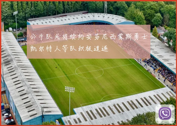 公牛队或将续约安芬尼西蒙斯勇士凯尔特人等队积极追逐