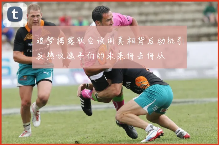 追梦揭露联合试训真相背后动机引发热议选手们的未来何去何从